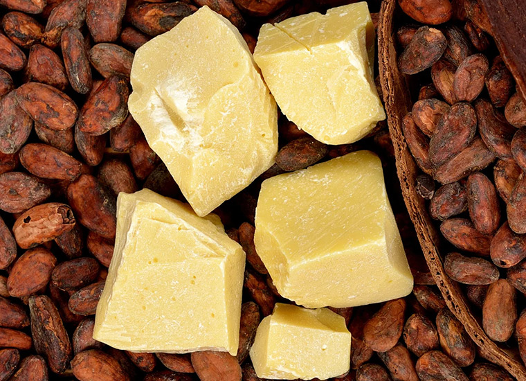 الكاكاو الدهون