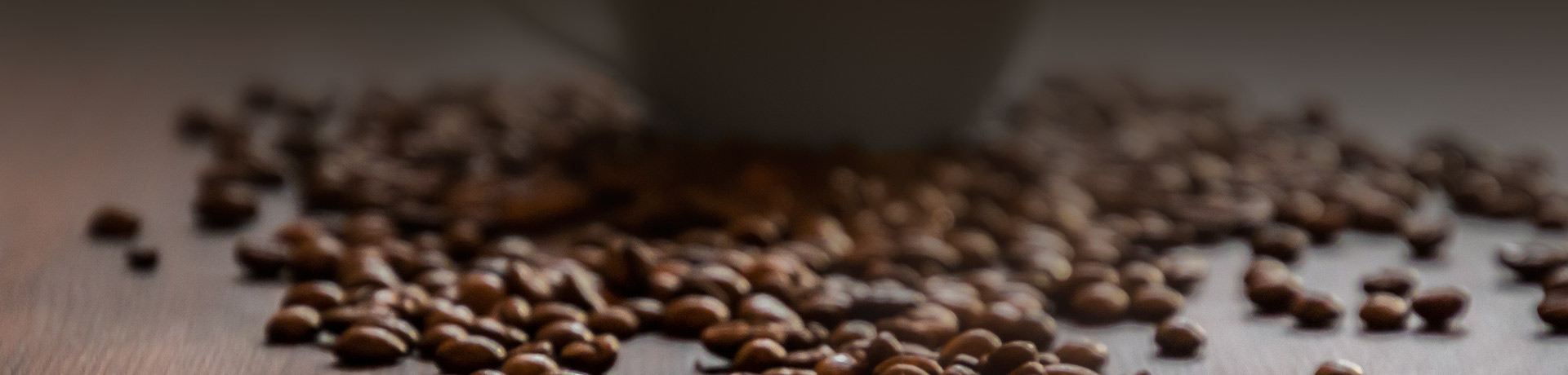 مدينة دانيانغ الغذاء الصينية المحدودة