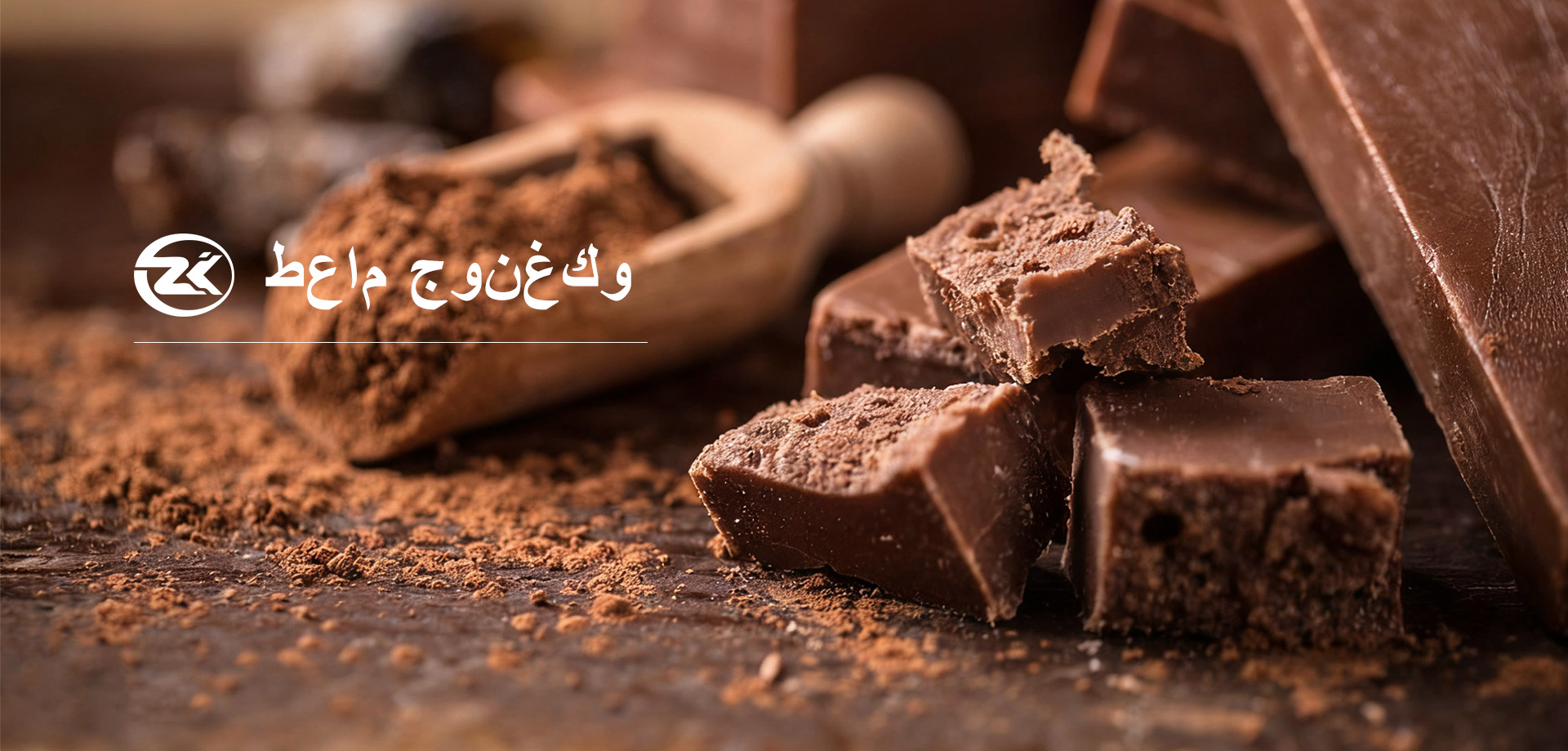 مدينة دانيانغ الغذاء الصينية المحدودة